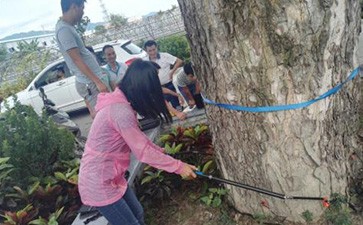 點將科技順利通過三亞市林業(yè)科學研究院木質無損檢測項目驗收