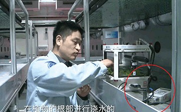 中國(guó)宇航員在太空站通過(guò)WET-2監(jiān)測(cè)萵苣生長(zhǎng)狀況