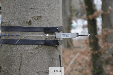 周長生長測量傳感器 周長生長測量傳感器