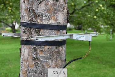 直徑生長測量傳感器 直徑生長測量傳感器