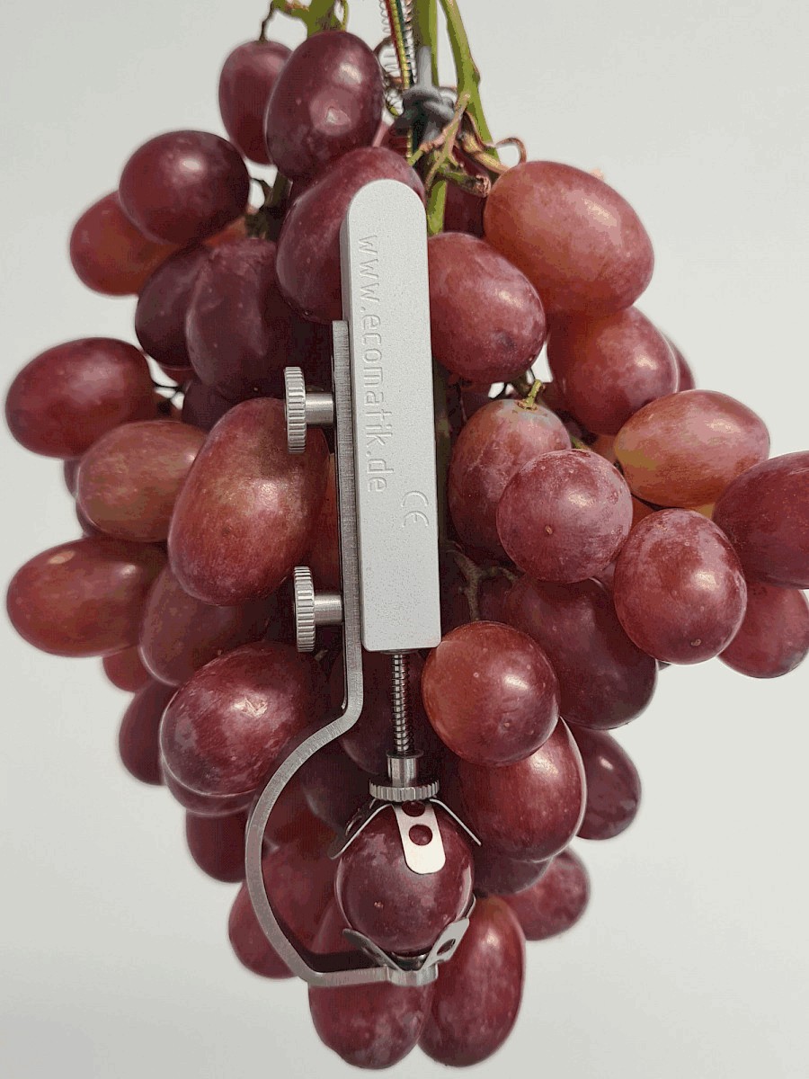 生長(zhǎng)測(cè)量傳感器