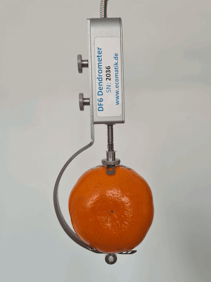 生長(zhǎng)測(cè)量傳感器