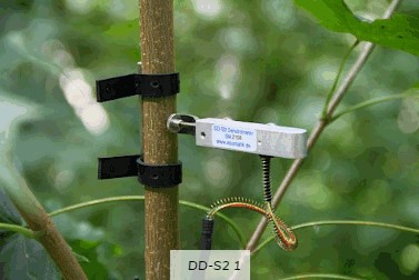 直徑生長測量儀